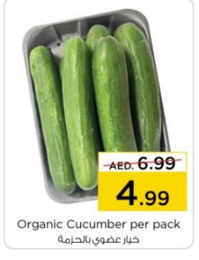 Cucumber