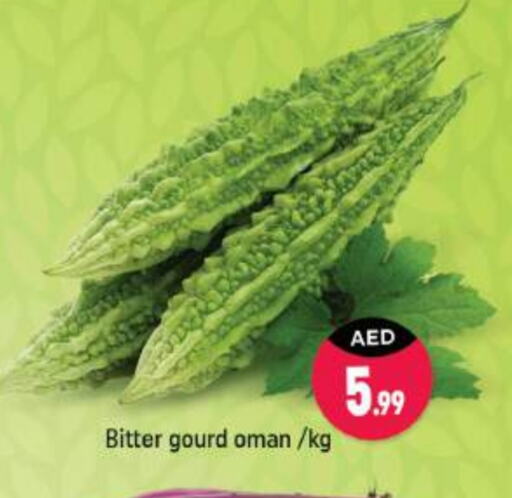  Bitter Gourd  in Shaklan  in UAE - Dubai