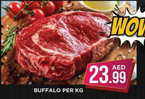  Buffalo  in Ainas Al madina hypermarket in UAE - Sharjah / Ajman