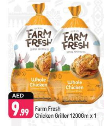  Fresh Whole Chicken  in Shaklan  in UAE - Dubai