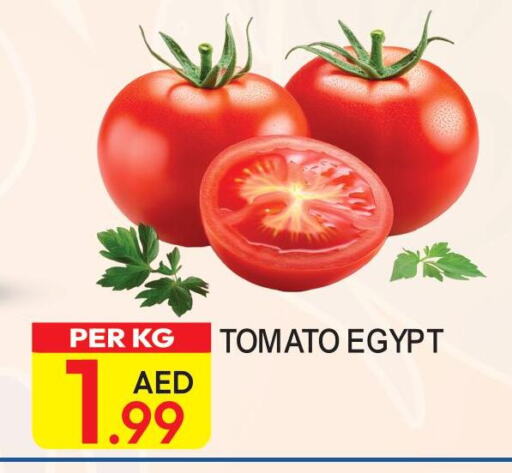  Tomato  in Dream Land in UAE - Dubai