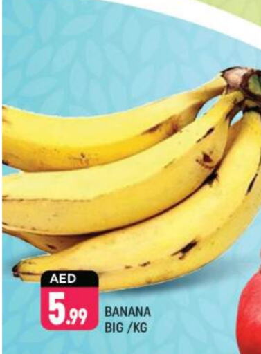  Banana  in Shaklan  in UAE - Dubai