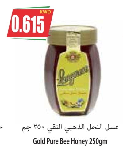  Honey  in 4 SaveMart in Kuwait - Kuwait City