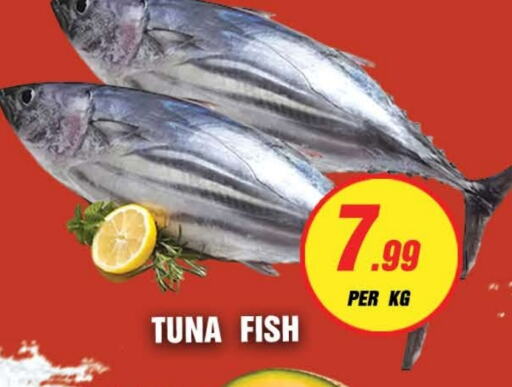  Tuna  in NIGHT TO NIGHT DEPARTMENT STORE in UAE - Sharjah / Ajman