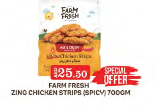 FARM FRESH Chicken Strips  in West Zone Supermarket in UAE - Dubai