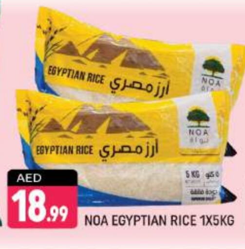  Calrose Rice  in Shaklan  in UAE - Dubai