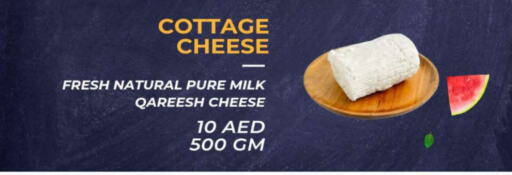  Cottage Cheese  in Quick Supermarket in UAE - Dubai