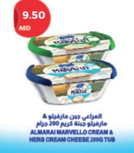 ALMARAI Cream Cheese  in Emirates Co-Operative Society in UAE - Dubai