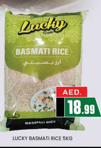  Basmati / Biryani Rice  in AL MADINA (Dubai) in UAE - Dubai