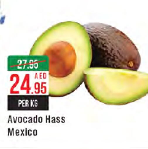 Avacado