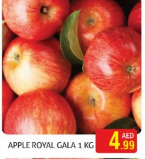  Apples  in Palm Hypermarket Muhaisina LLC in UAE - Dubai