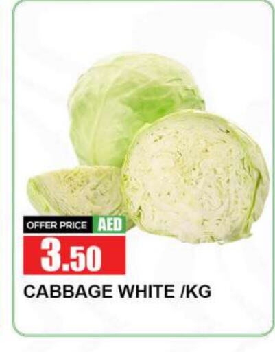 Cabbage