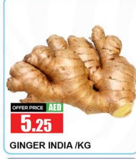 Ginger