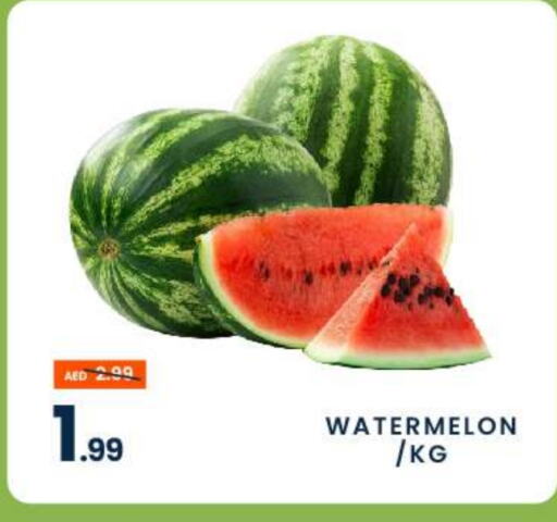  Watermelon  in MADHOOR SUPERMARKET L.L.C in UAE - Dubai