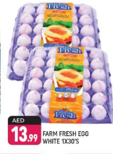 FARM FRESH   in Shaklan  in UAE - Dubai