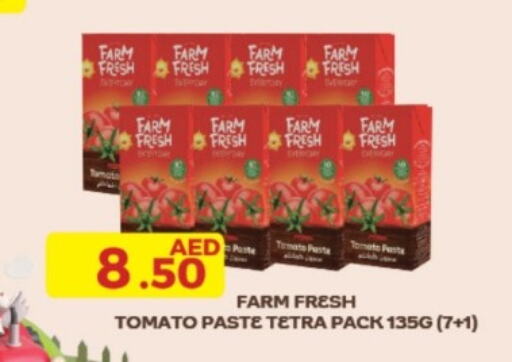  Tomato Paste  in Emirates Co-Operative Society in UAE - Dubai