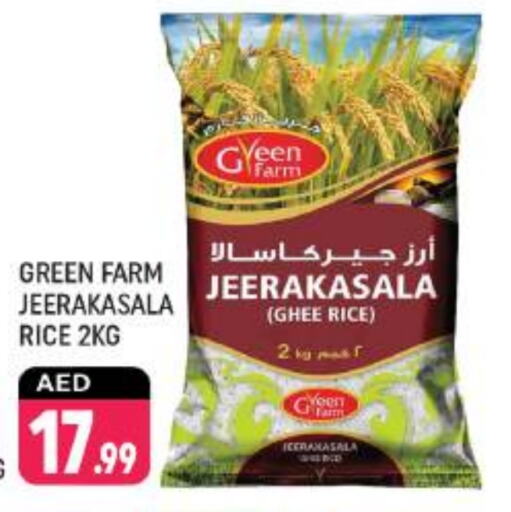  Jeerakasala Rice  in Shaklan  in UAE - Dubai