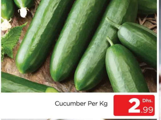  Cucumber  in AL MADINA (Dubai) in UAE - Dubai