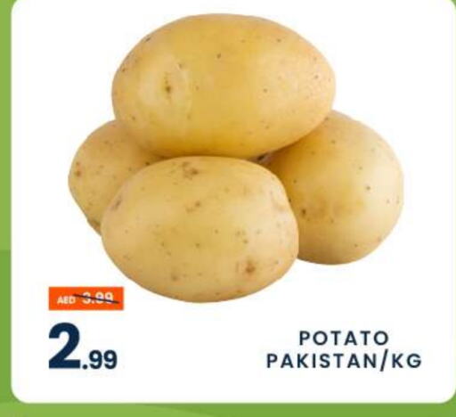  Potato  in MADHOOR SUPERMARKET L.L.C in UAE - Dubai