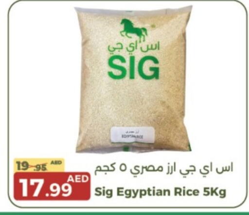  Calrose Rice  in Emirates Co-Operative Society in UAE - Dubai