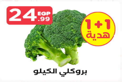  Broccoli  in MartVille in Egypt - Cairo