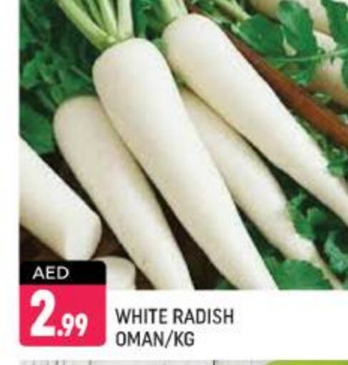  Radish  in Shaklan  in UAE - Dubai