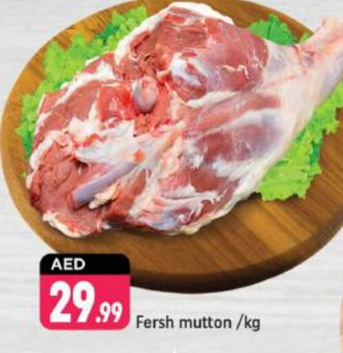  Mutton / Lamb  in Shaklan  in UAE - Dubai