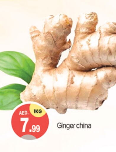  Ginger  in TALAL MARKET in UAE - Dubai