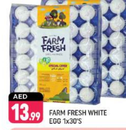 FARM FRESH   in Shaklan  in UAE - Dubai