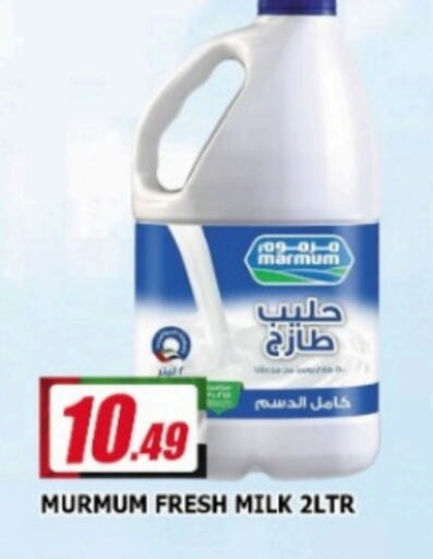  Fresh Milk  in AL MADINA in UAE - Sharjah / Ajman