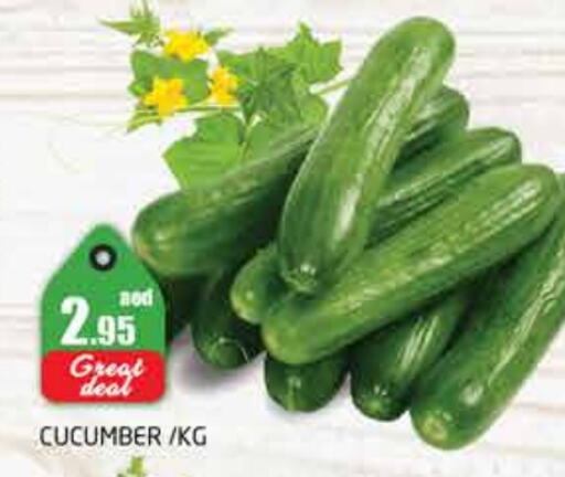 Cucumber