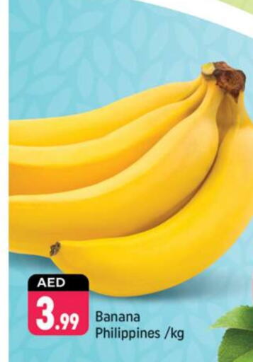  Banana  in Shaklan  in UAE - Dubai