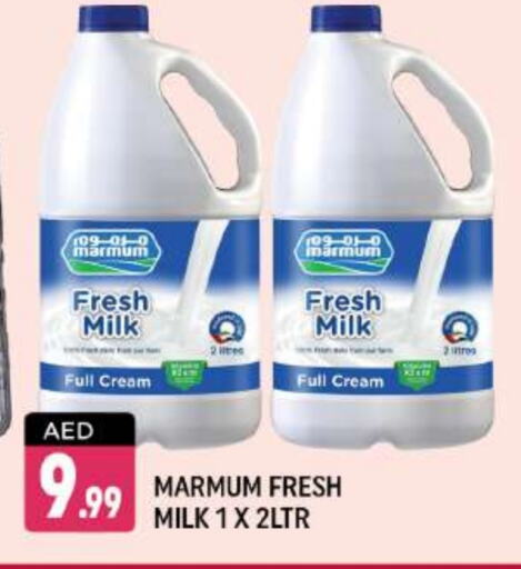 MARMUM Full Cream Milk  in Shaklan  in UAE - Dubai