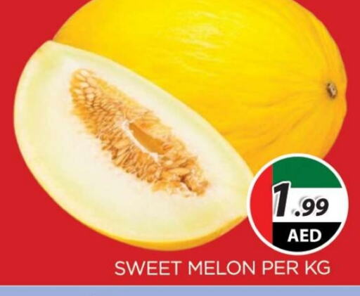  Sweet melon  in AL MADINA (Dubai) in UAE - Dubai