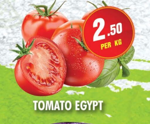  Tomato  in NIGHT TO NIGHT DEPARTMENT STORE in UAE - Sharjah / Ajman