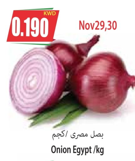 Onion