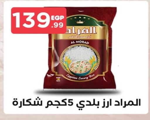  Calrose Rice  in MartVille in Egypt - Cairo