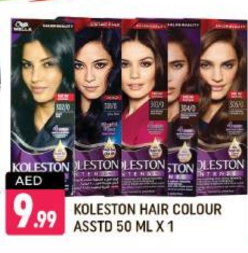  Hair Colour  in Shaklan  in UAE - Dubai