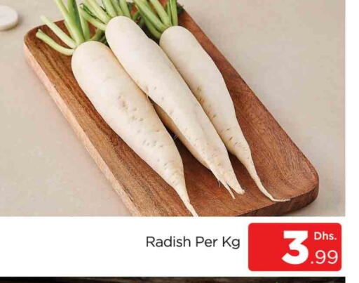 Radish