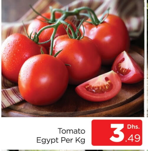  Tomato  in AL MADINA (Dubai) in UAE - Dubai