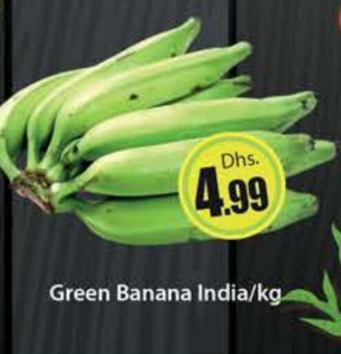  Banana Green  in Al Madina  in UAE - Dubai