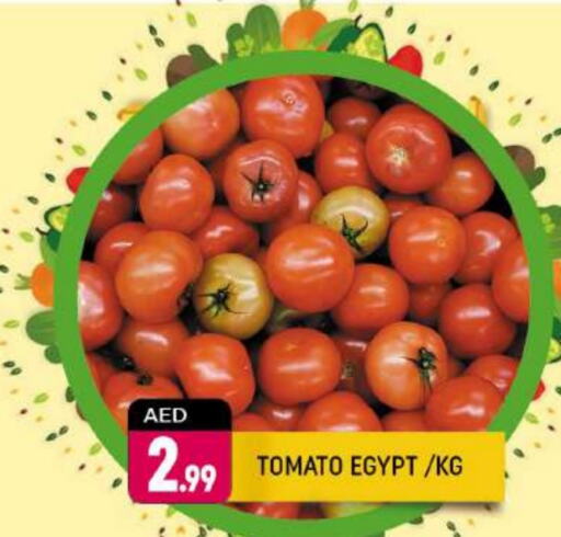  Tomato  in Shaklan  in UAE - Dubai