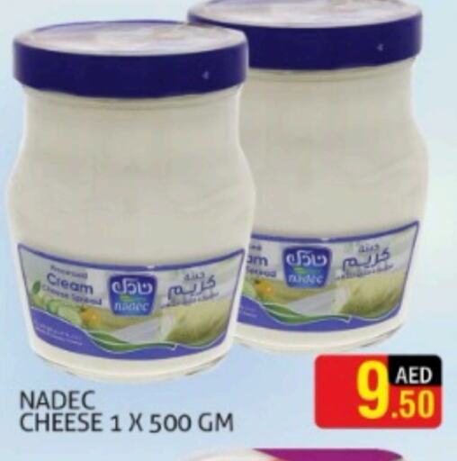 NADEC Cream Cheese  in Palm Hypermarket Muhaisina LLC in UAE - Dubai