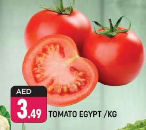  Tomato  in Shaklan  in UAE - Dubai