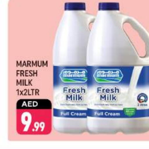 MARMUM Full Cream Milk  in Shaklan  in UAE - Dubai