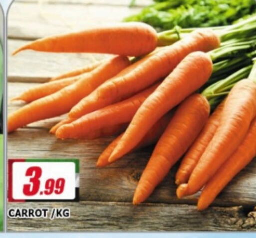  Carrot  in AL MADINA in UAE - Sharjah / Ajman