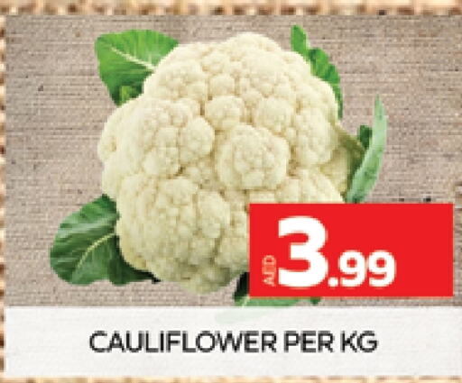  Cauliflower  in AL MADINA (Dubai) in UAE - Dubai