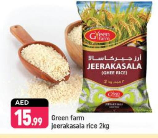  Jeerakasala Rice  in Shaklan  in UAE - Dubai