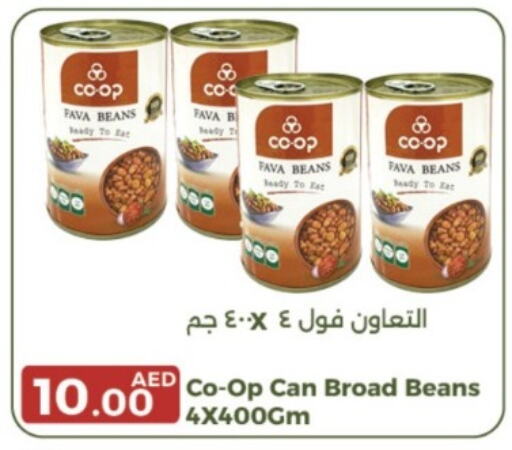  Fava Beans  in Emirates Co-Operative Society in UAE - Dubai