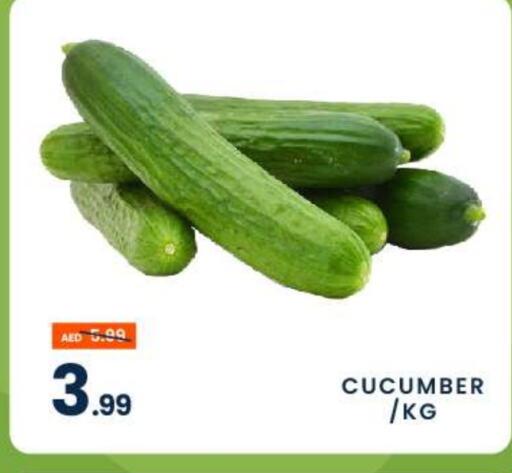  Cucumber  in MADHOOR SUPERMARKET L.L.C in UAE - Dubai